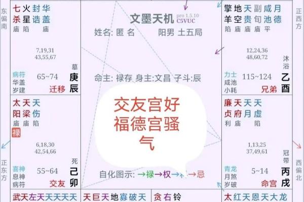 紫薇斗数命理八字占卜