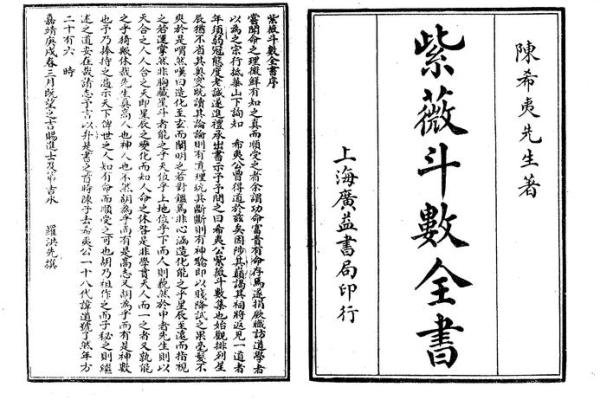紫薇斗数书籍在线观看