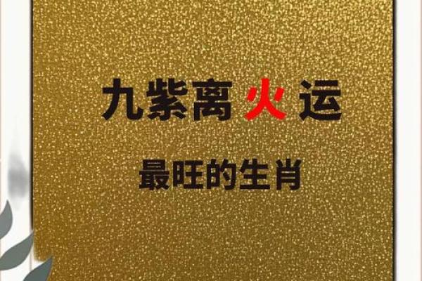 九紫离火运对什么命的人好八字缺火