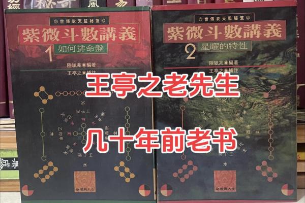 紫薇斗数一本小说