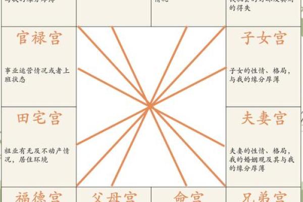 紫微斗数诸星落诸宫之：破军星子女宫详解