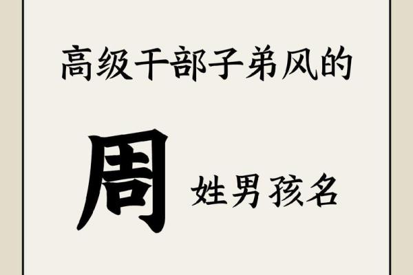 周姓男孩名字大全-周姓男孩起名字大全-周姓名字大全姓名