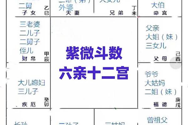 紫薇斗数命运化解