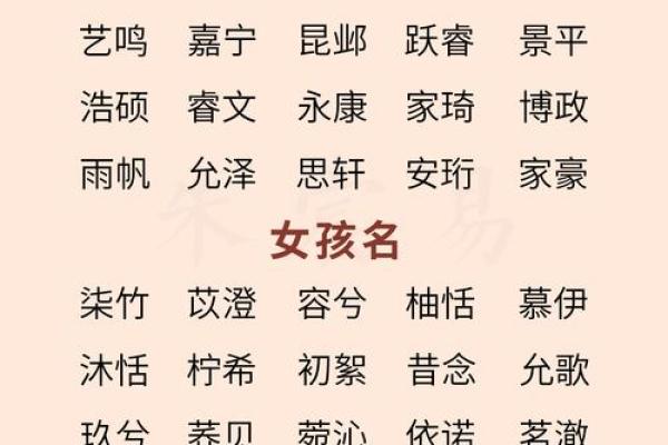 2019年3月26号亥时出生的男孩要怎么起名字姓名