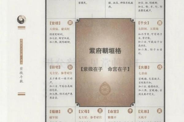 紫薇斗数男命看哪些宫