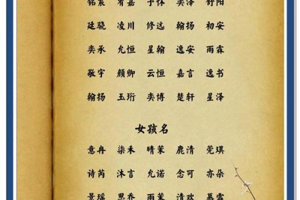 11月份出生的属兔男孩应如何取名字姓名