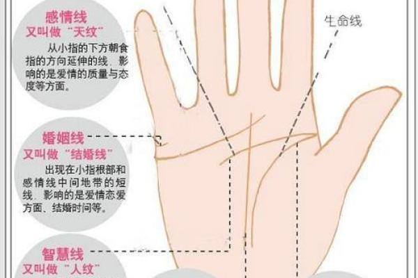 手相太阳线揭秘算命图解大全