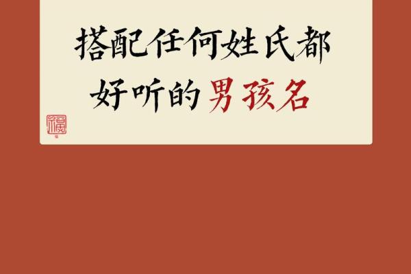 2019年6月14号子时出生的男孩应该起什么样的名字姓名