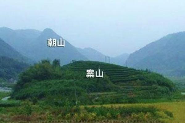 风水上祖坟上长树意味着什么