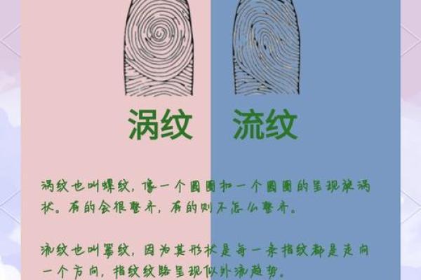 指纹算命 十指指纹算命查询