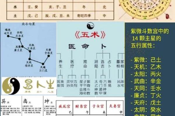紫薇斗数兄弟代表