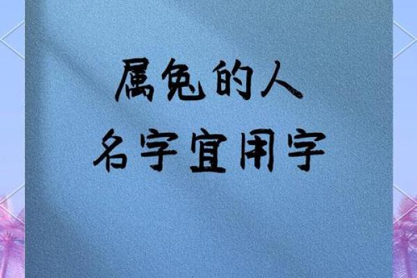 给属兔午时出生的男孩起名推荐的字和名字姓名