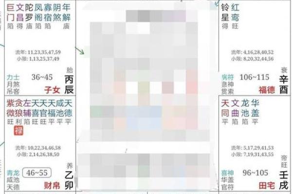 紫薇斗数断学历