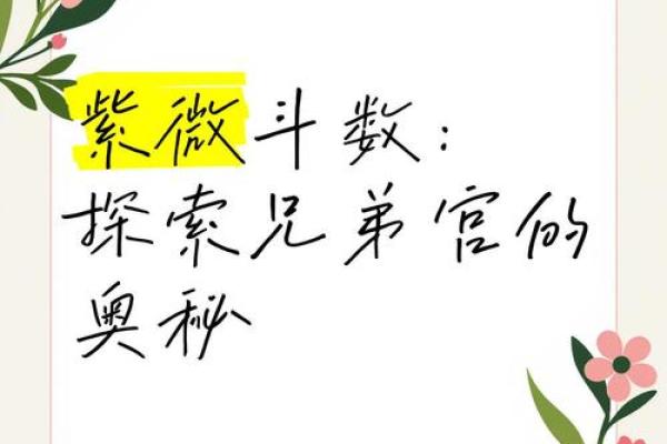 紫薇斗数紫薇在兄弟