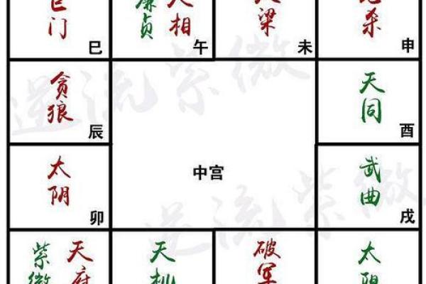马大夫紫薇斗数