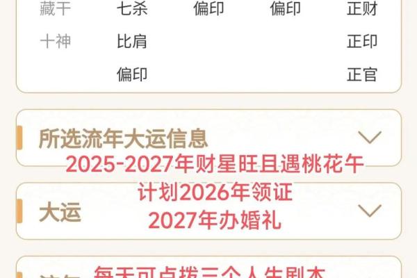紫薇斗数八字算命软件