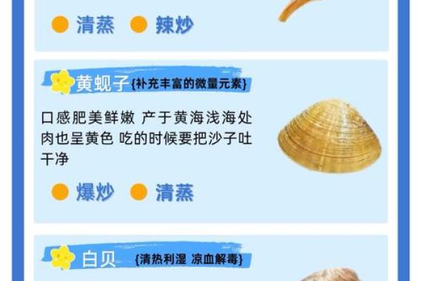 哪种贝壳风水作用