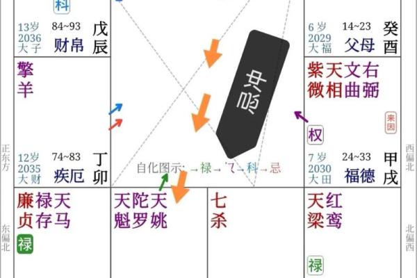 紫薇斗数算怀孕时间