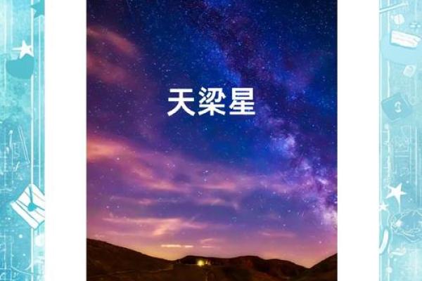 紫薇斗数天月星