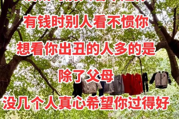 难怪家里总没钱，原来是房屋风水没养好！不信你看~