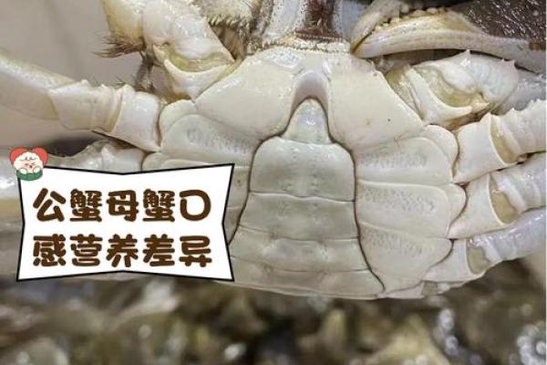 螃蟹地风水形了解这种风水形带来的影响及解决方法
