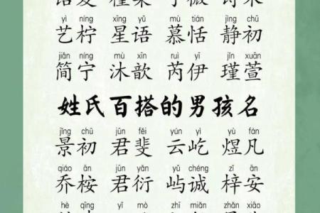 2019年6月26号丑时出生的男孩起名时要注意什么姓名
