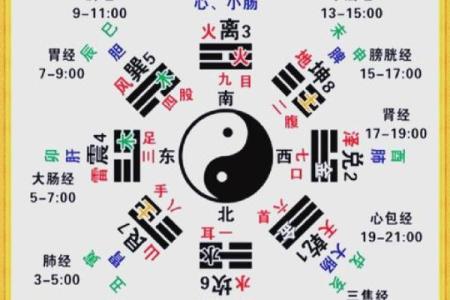 紫薇星盘怎么排