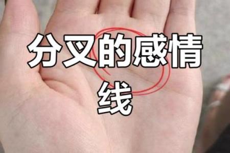看手相算命：第二课 婚姻感情