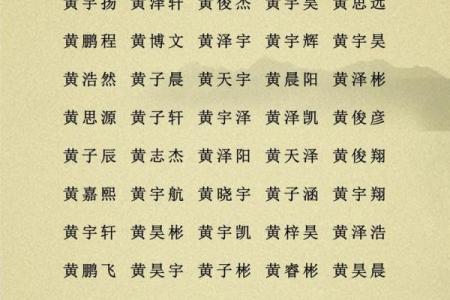 2019年6月28号子时出生的男孩如何起名姓名