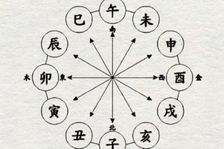 八字地支有寅辰,八字辰与寅的关系