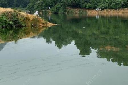 风水水库_30米深的水库钓鱼钓多深