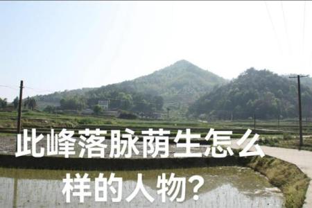 立丁山桂风水