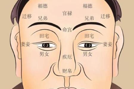 男人眉毛看相算命