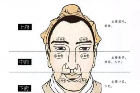 男人八字眉命运如何
