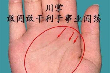 手相太阳线揭秘算命图解大全
