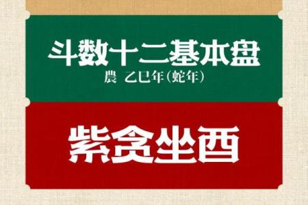 紫薇斗数能用吗
