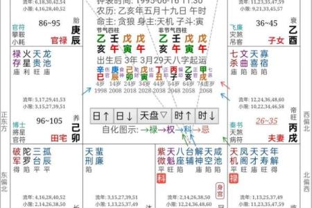 紫薇斗数绝胎养