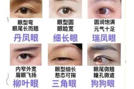 风水面相三角眼的男生性格特征表现