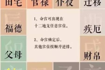 紫薇斗数贪狼