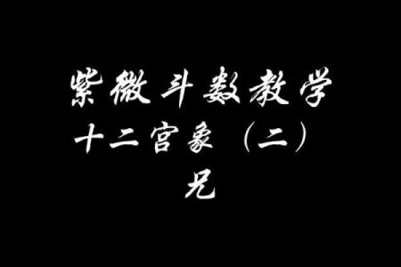 紫薇斗数兄弟代表