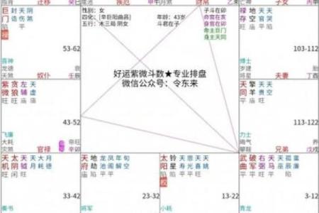 紫薇斗数流年大限