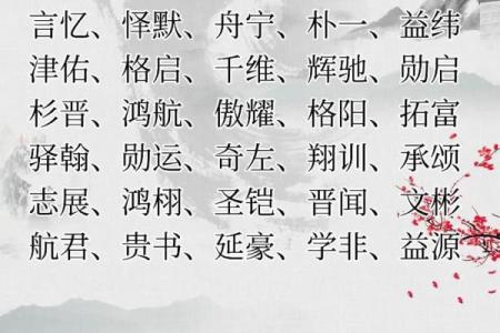 8月份出生的属猴男孩名字取什么好姓名