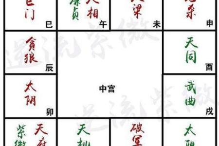 马大夫紫薇斗数