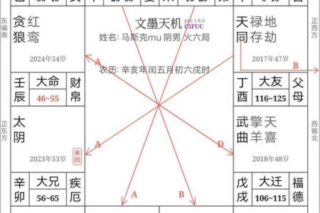 紫微斗数之：四化关系概论