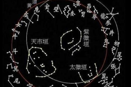 紫薇星盘斗数
