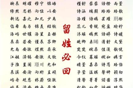 2019年3月18号辛时出生的男孩如何起名姓名