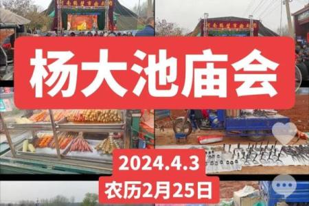 庙会算命2024