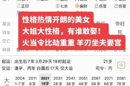 紫薇斗数八字算命软件