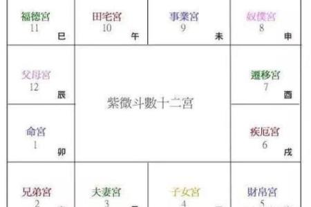 皮肤白紫薇斗数