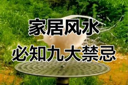 风水先生说：应当重视迁居禁忌